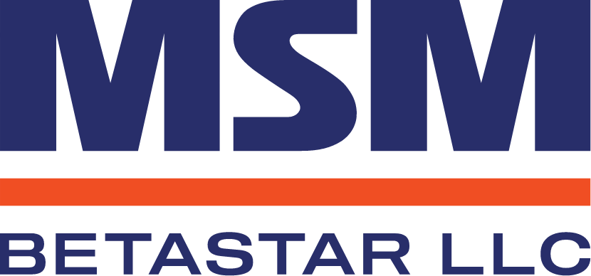 MSM Logo